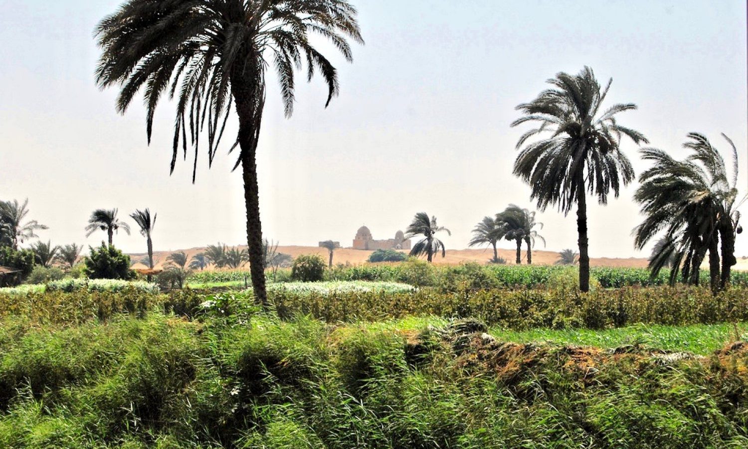 Faiyum_Oasis_by_Zorbey_Tunçer